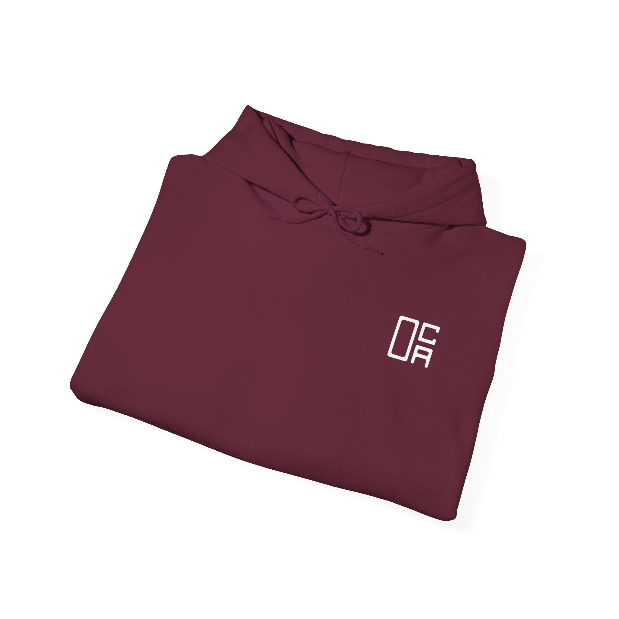 "Choose Today" Hoodie